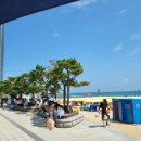 GS25 팔레드시즈점 네이버블로그