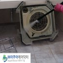 (주)아쿠아에어닥터 네이버블로그