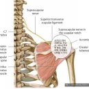 영등한방병원 이미지