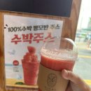 보니따속천