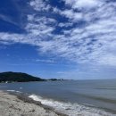 월포상회 - 포항시 북구 죽도시장6길 3-12 | 월포상회