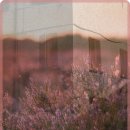 금화공간 이미지