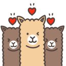슈가앤조이