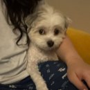 레전드게임랜드 이미지