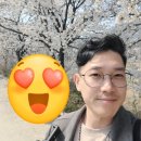 신현2리 마을회관 | 발견한 사람없는 벚꽃명소 문경 마성면 신현2리 정현마을공원(못고개마을) 방문 후 약돌돼지 백반정식 후