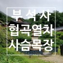 빗고개청국장 | 250719 백두대간 협곡열차 -부석사