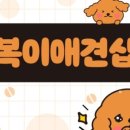 복이애견샵 이미지