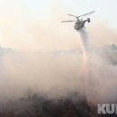 양구군청 별관(1층) 이미지