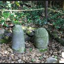 대붕초등학교 이미지