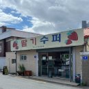 (주)세진식품 | 경산 신상 가오픈 카페 <딸기수퍼> 뉴트로 정겨운 감성 가득🍓