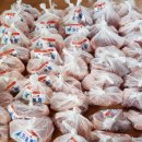 돼지한마리 이미지