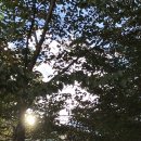 세라젬 부산기장직영점 이미지