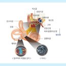 일등이비인후과의원 네이버블로그