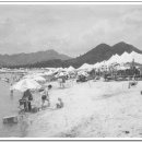 회남면사무소 이미지