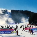 용평리조트 스키장 이미지