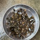 한남초등학교 맞은편 이미지