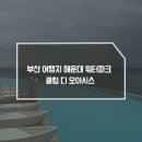 디오클린시스템 | 부산 해운대 시그니엘 워터파크 클럽디오아시스 가격 할인