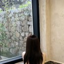 영천 펜션 명경 한옥스테이 금송당 대구 근교 여행지로 추천