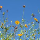 태화목장 이미지