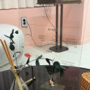 한올 인계동속눈썹펌&눈썹 이미지