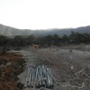 고려농원 이미지