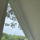 온화한가(온송) 이미지