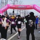 서부간선도로 | 2026 안양천 봄꽃 레이스 마라톤 10km 완주 후기｜서울 벚꽃길 명소
