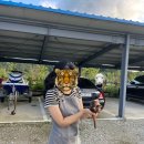 천마리농장 이미지