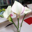 화림농장 이미지