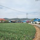 모월보건진료소 이미지