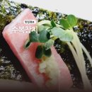 수복 | 경주 룸식당 회포장 수복 참치 후기