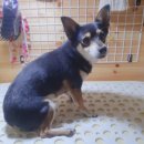 이쁘개(내포신도시점) 이미지