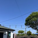 레프트핸더 스테이 이미지