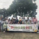 힐링올레 이미지