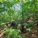 연세대독수리산악대310차산행은번개팅으로 100대명산경기도5대악산파주감악산(675m)을 폭염속에 올랐다 -2025년7월26일(토) 이미지