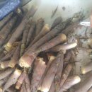 믿음 제1농장 이미지