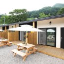 모더니컬 이미지