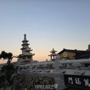 한려빌 | "현지인들도 새해 소원을 빌러 옵니다" 부산 사람들도 새해면 꼭 찾는 새해 일출 명소