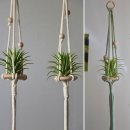 나만의 마크라메 만들기 | 성환 청다움 7주년 🎉 마을교사로 참여한 마크라메 플랜트 행잉 공예수업 후기