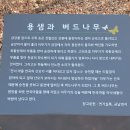 세종동_전월산 무궁화 테마공원 | 세종시 가볼만한 곳, 무궁화테마공원, 달(月)을 바라보는 옛사람 만나러 가볍게 앞산에 올라볼까...