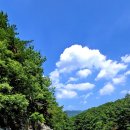 소똥령이야기 이미지