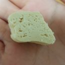 디어마이펫(DEARMYPET) 이미지