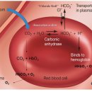 BODY EFFECT 이미지