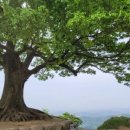 산성레저 이미지