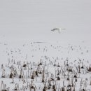 만경초등학교 이미지