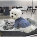 구로-고척-구로-2984 이미지