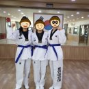 용인대 태권클럽 태권도장 이미지