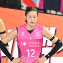 핑크 스파이더 이미지