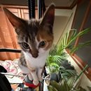 무료영화 상영 <왓츠러브> | 수직상승 할 수 있었던 비결 | 아시아의 장치들 후기 | ACC 5기 서포터즈 발대식 | 국립아시아문화전당