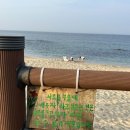 주문진항만 | [국밥 참 맛있는 집 강릉주문진항점] 육반장 문닫아서 방문한 내돈내산 후기